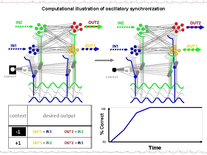 Computational illustration of oscillatory synchronization OUT 2 IN 2 OUT 1 IN 1 wi