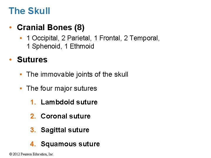 The Skull • Cranial Bones (8) • 1 Occipital, 2 Parietal, 1 Frontal, 2