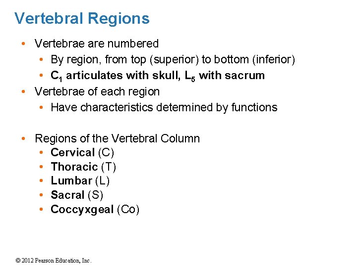 Vertebral Regions • Vertebrae are numbered • By region, from top (superior) to bottom