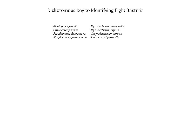 Dichotomous Key to Identifying Eight Bacteria Alcaligenes faecalis Citrobacter freundii Pseudomonas fluorescens Streptococcus pneumoniae