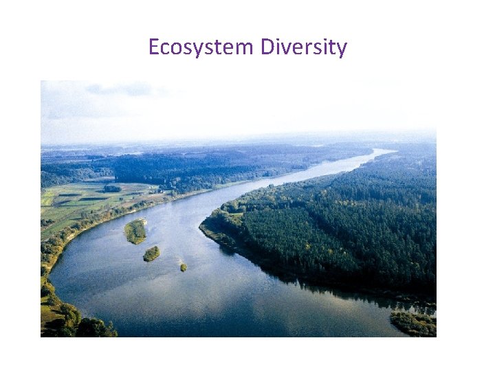 Ecosystem Diversity 