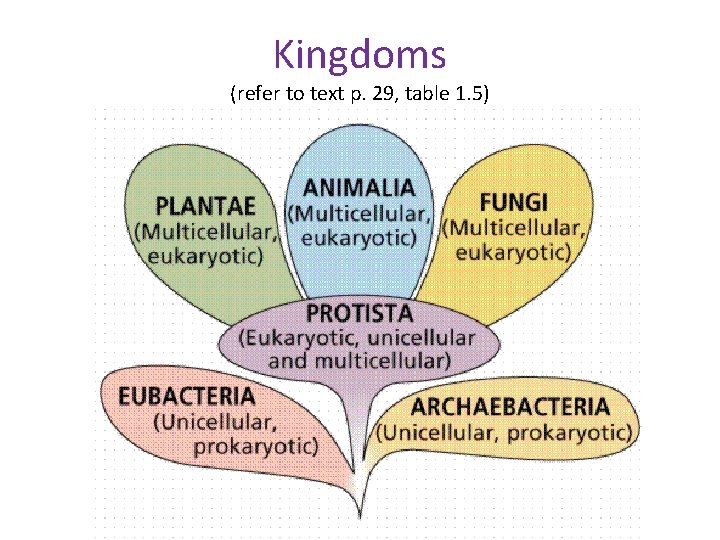 Kingdoms (refer to text p. 29, table 1. 5) 