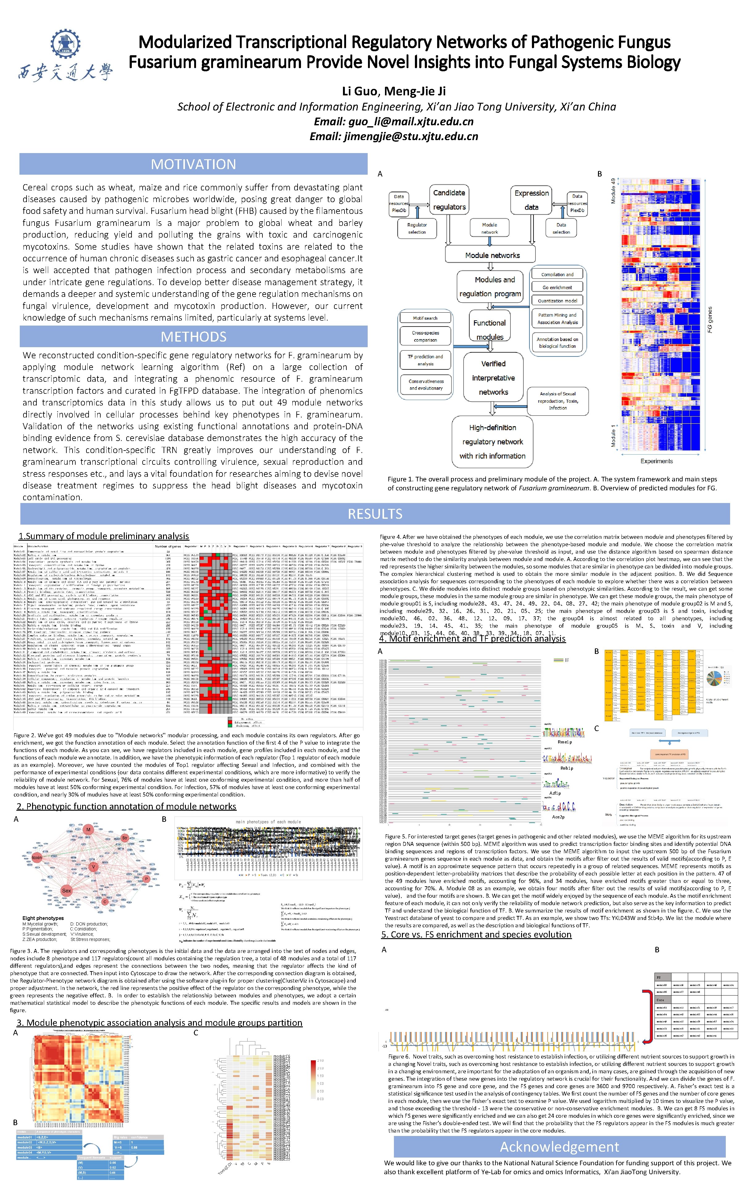 Modularized Transcriptional Regulatory Networks of Pathogenic Fungus Fusarium graminearum Provide Novel Insights into Fungal