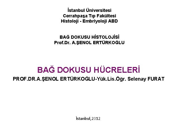 İstanbul Üniversitesi Cerrahpaşa Tıp Fakültesi Histoloji - Embriyoloji ABD BAĞ DOKUSU HİSTOLOJİSİ Prof. Dr.