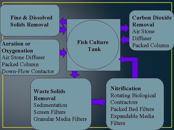 Fine & Dissolved Solids Removal Aeration or Oxygenation Air Stone Diffuser Packed Column Down-Flow