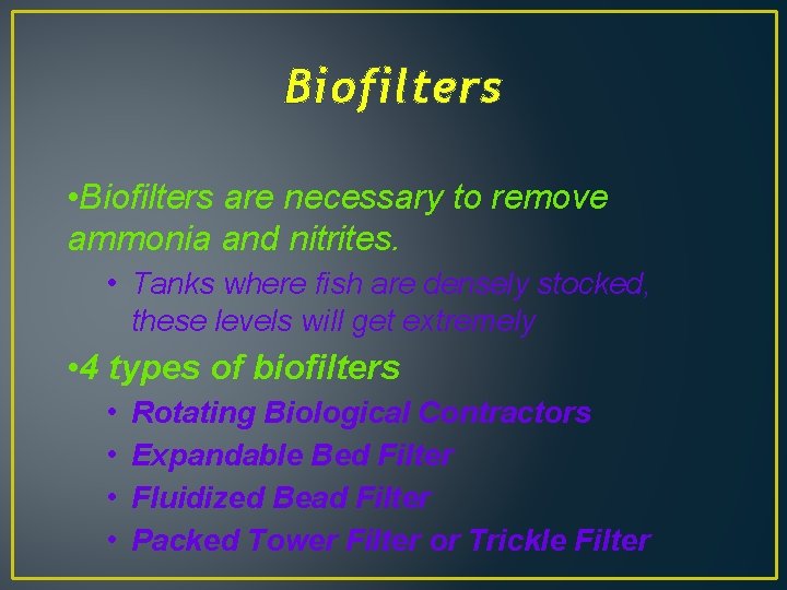 Biofilters • Biofilters are necessary to remove ammonia and nitrites. • Tanks where fish