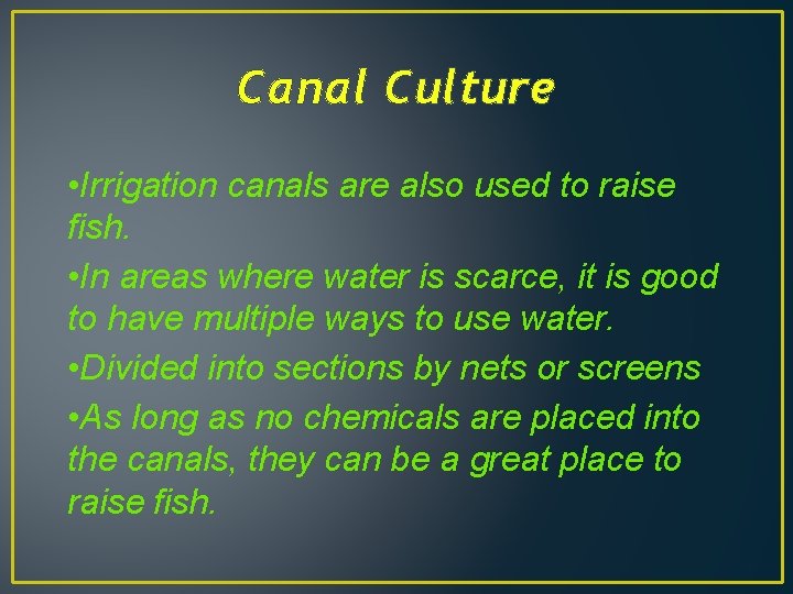 Canal Culture • Irrigation canals are also used to raise fish. • In areas