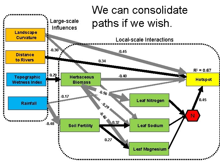 Landscape Curvature Large-scale Influences We can consolidate paths if we wish. Local-scale Interactions -0.