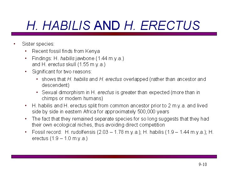 H. HABILIS AND H. ERECTUS • Sister species: • Recent fossil finds from Kenya