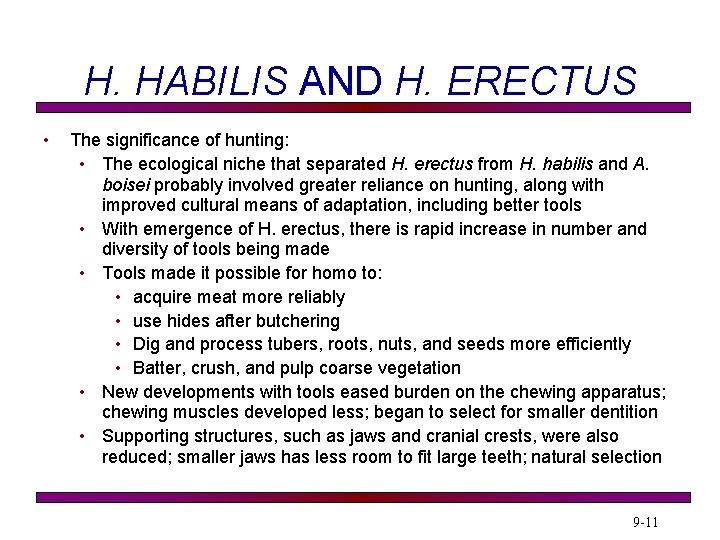 H. HABILIS AND H. ERECTUS • The significance of hunting: • The ecological niche