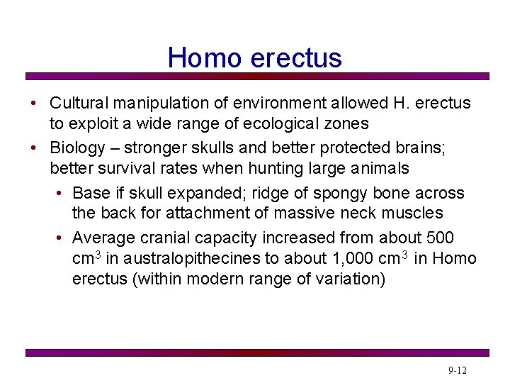 Homo erectus • Cultural manipulation of environment allowed H. erectus to exploit a wide