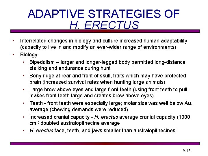 ADAPTIVE STRATEGIES OF H. ERECTUS • • Interrelated changes in biology and culture increased