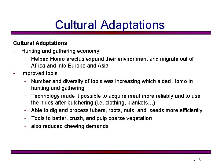 Cultural Adaptations • Hunting and gathering economy • Helped Homo erectus expand their environment