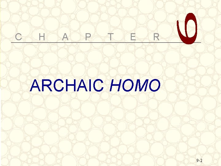 C H A P T E R ARCHAIC HOMO 9 -2 