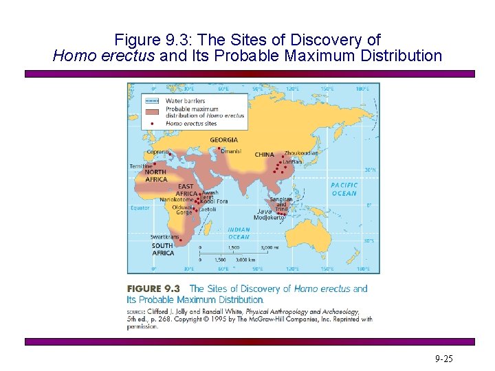 Figure 9. 3: The Sites of Discovery of Homo erectus and Its Probable Maximum