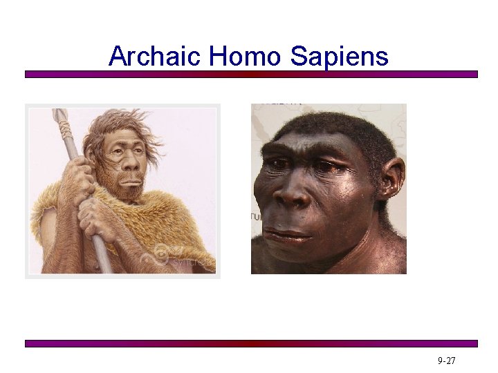 Archaic Homo Sapiens 9 -27 