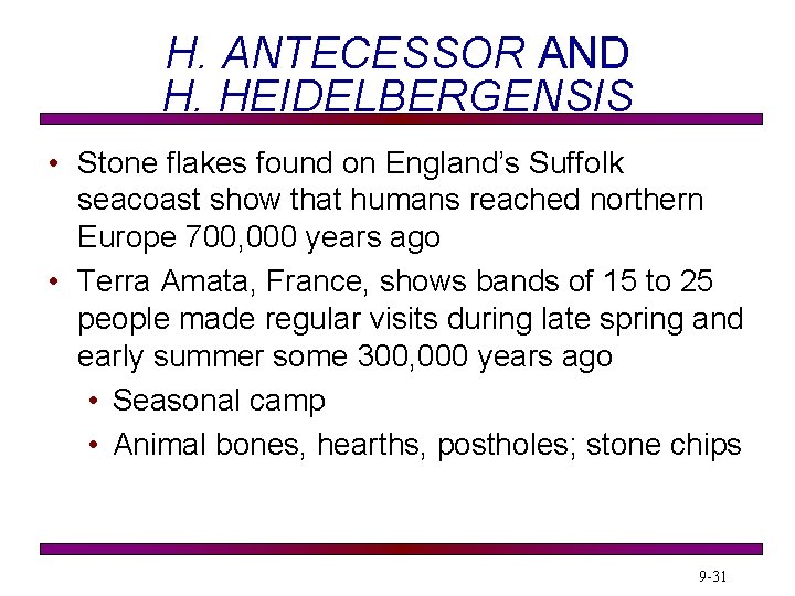 H. ANTECESSOR AND H. HEIDELBERGENSIS • Stone flakes found on England’s Suffolk seacoast show