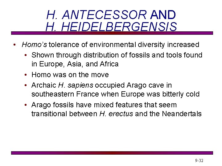 H. ANTECESSOR AND H. HEIDELBERGENSIS • Homo’s tolerance of environmental diversity increased • Shown