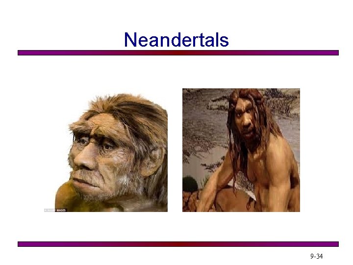 Neandertals 9 -34 