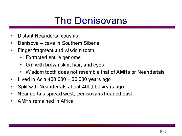 The Denisovans • Distant Neandertal cousins • Denisova – cave in Southern Siberia •