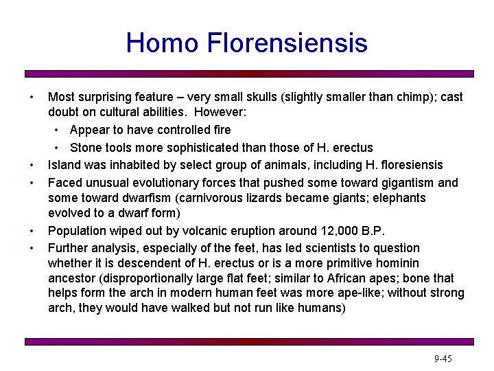 Homo Florensis • • • Most surprising feature – very small skulls (slightly smaller