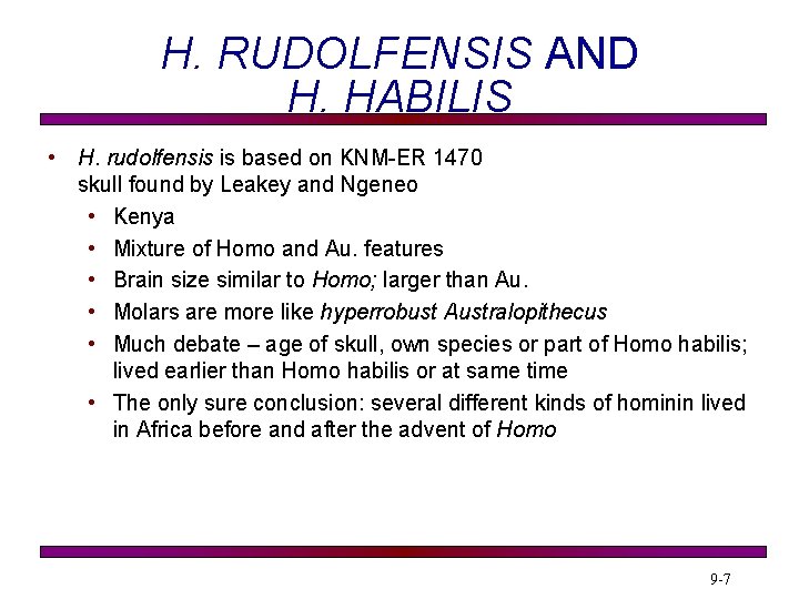 H. RUDOLFENSIS AND H. HABILIS • H. rudolfensis is based on KNM-ER 1470 skull