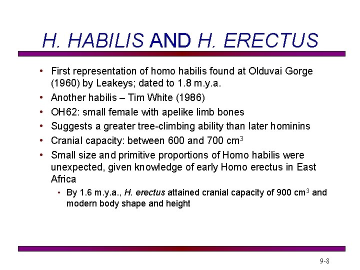 H. HABILIS AND H. ERECTUS • First representation of homo habilis found at Olduvai