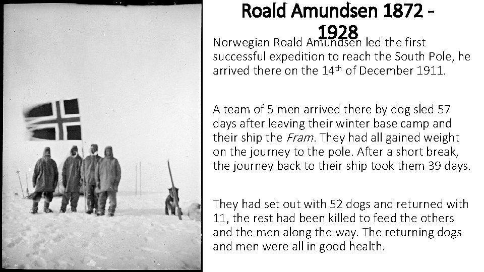 Roald Amundsen 1872 1928 Norwegian Roald Amundsen led the first successful expedition to reach