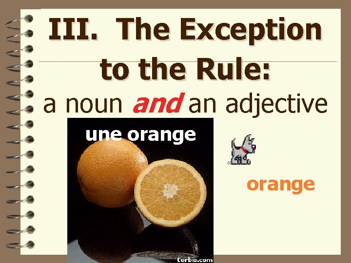 III. The Exception to the Rule: a noun and an adjective une orange 
