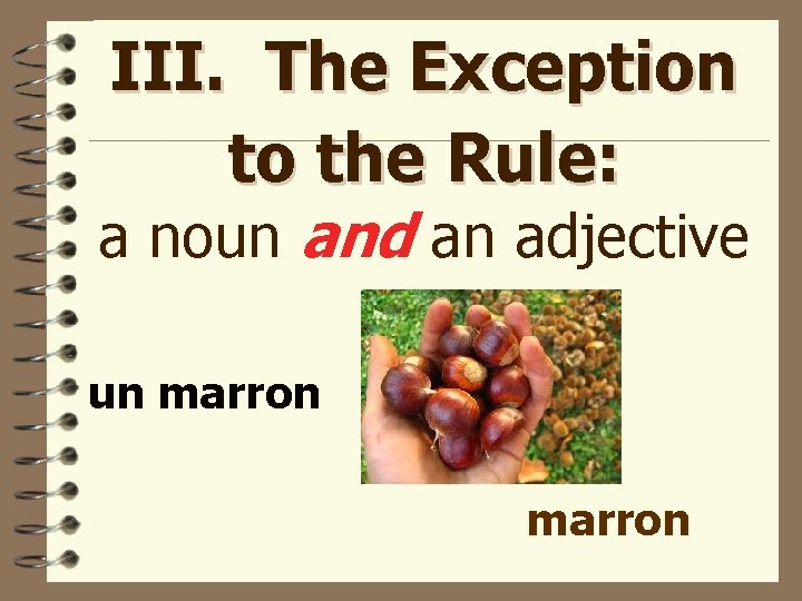 III. The Exception to the Rule: a noun and an adjective un marron 
