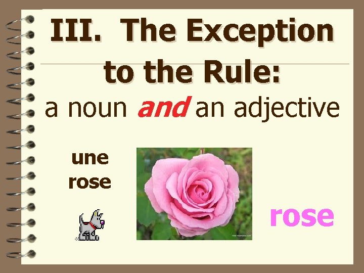 III. The Exception to the Rule: a noun and an adjective une rose 