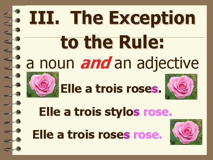III. The Exception to the Rule: a noun and an adjective Elle a trois
