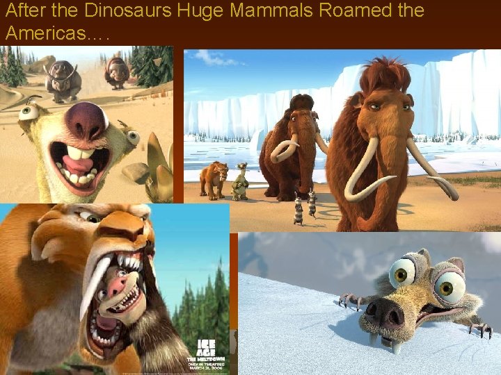 After the Dinosaurs Huge Mammals Roamed the Americas…. 