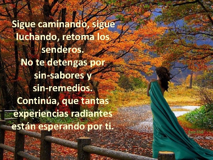 Sigue caminando, sigue luchando, retoma los senderos. No te detengas por sin-sabores y sin-remedios.