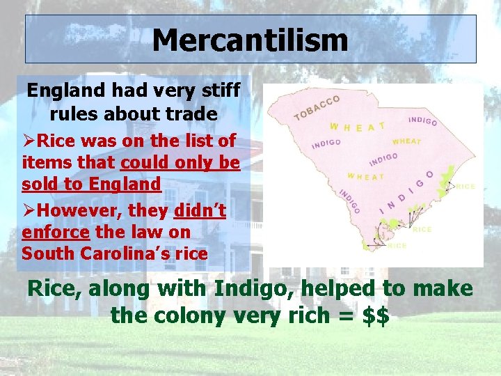 Mercantilism England had very stiff rules about trade ØRice was on the list of