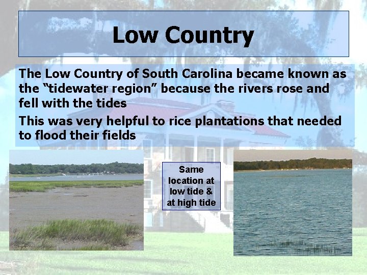 Low Country The Low Country of South Carolina became known as the “tidewater region”