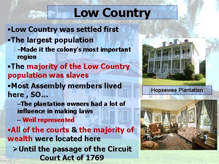 Low Country • Low Country was settled first • The largest population –Made it