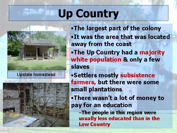 Up Country Upstate homestead • The largest part of the colony • It was