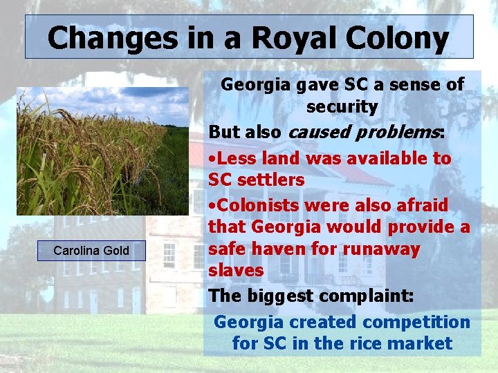 Changes in a Royal Colony Carolina Gold Georgia gave SC a sense of security
