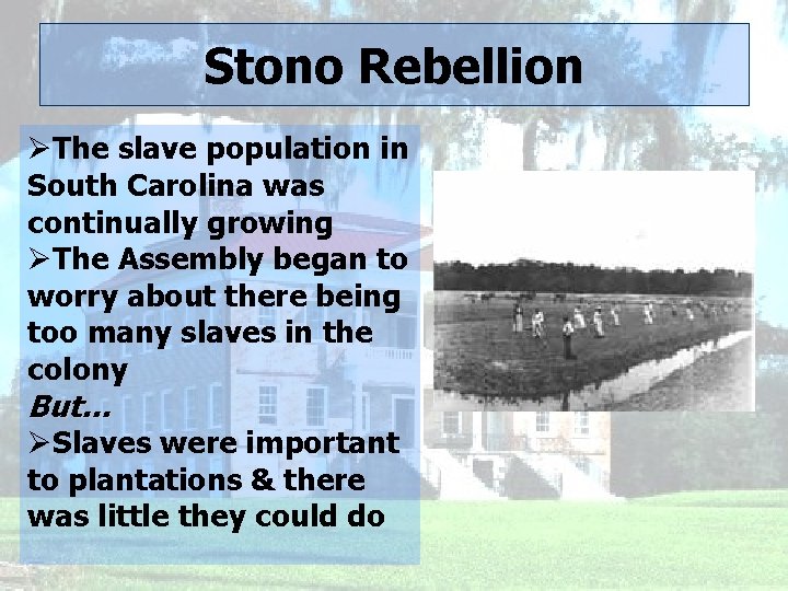 Stono Rebellion ØThe slave population in South Carolina was continually growing ØThe Assembly began