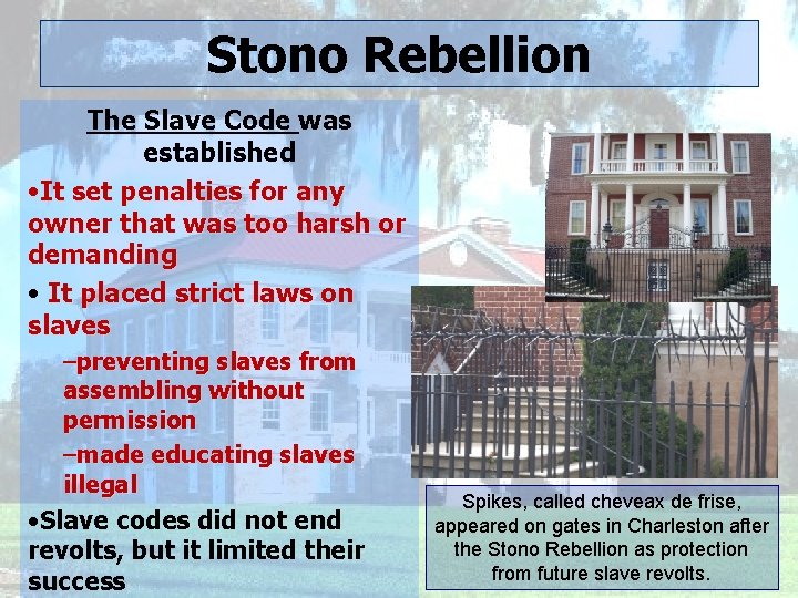 Stono Rebellion The Slave Code was established • It set penalties for any owner
