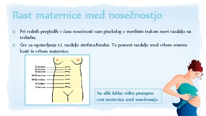 Rast maternice med nosečnostjo o Pri rednih pregledih v času nosečnosti vam ginekolog z