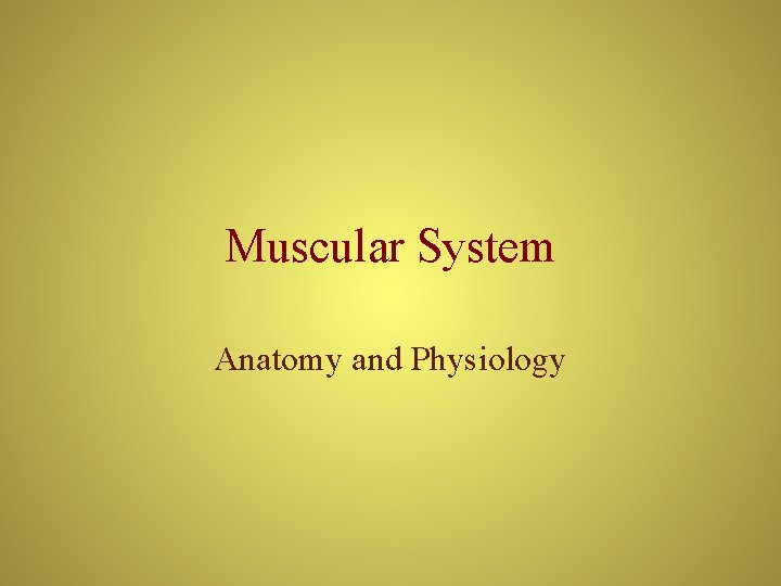 Muscular System Anatomy and Physiology 