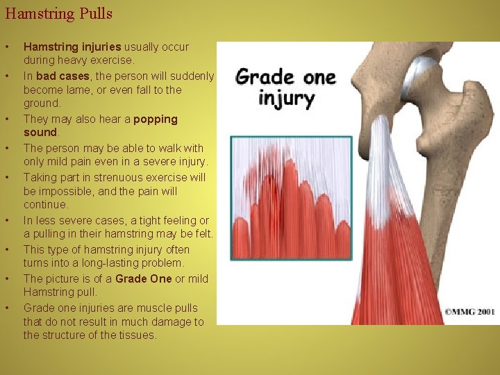 Hamstring Pulls • • • Hamstring injuries usually occur during heavy exercise. In bad