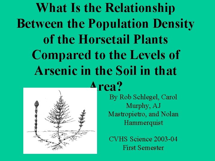 What Is the Relationship Between the Population Density of the Horsetail Plants Compared to