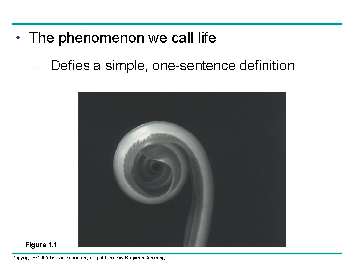  • The phenomenon we call life – Defies a simple, one-sentence definition Figure