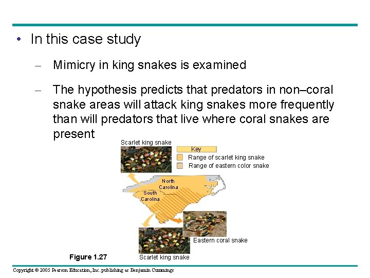  • In this case study – Mimicry in king snakes is examined –