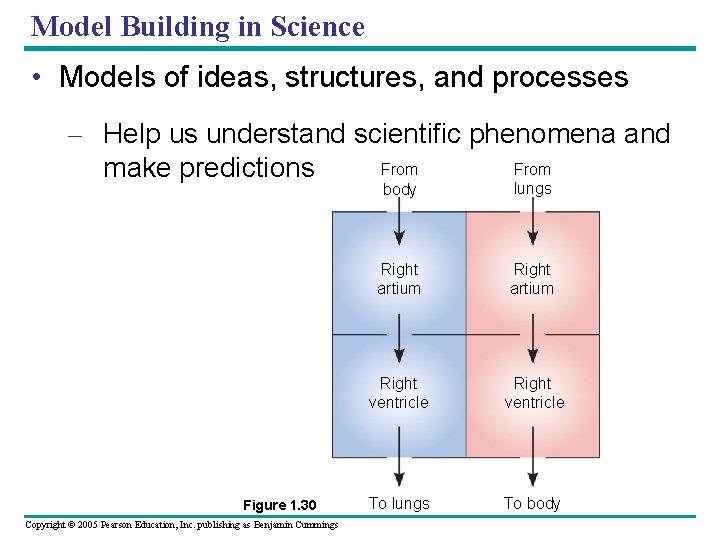 Model Building in Science • Models of ideas, structures, and processes – Help us