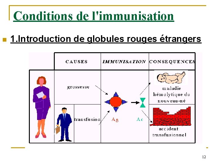 Conditions de l'immunisation n 1. Introduction de globules rouges étrangers 12 