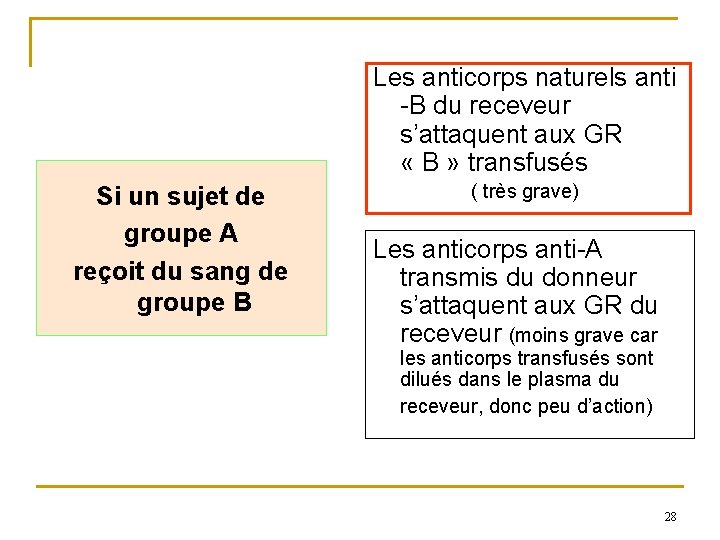 Les anticorps naturels anti -B du receveur s’attaquent aux GR « B » transfusés